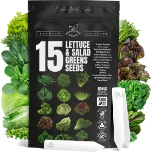 15 Lettuce & Salad Greens Seeds Variety Pack Lettuce Garden Salad Kit with Plant Labels 7300  Non-GMO Heirloom Arugula Spinach Kale Iceberg Lettuce Seeds for Planting Outdoors Indoors