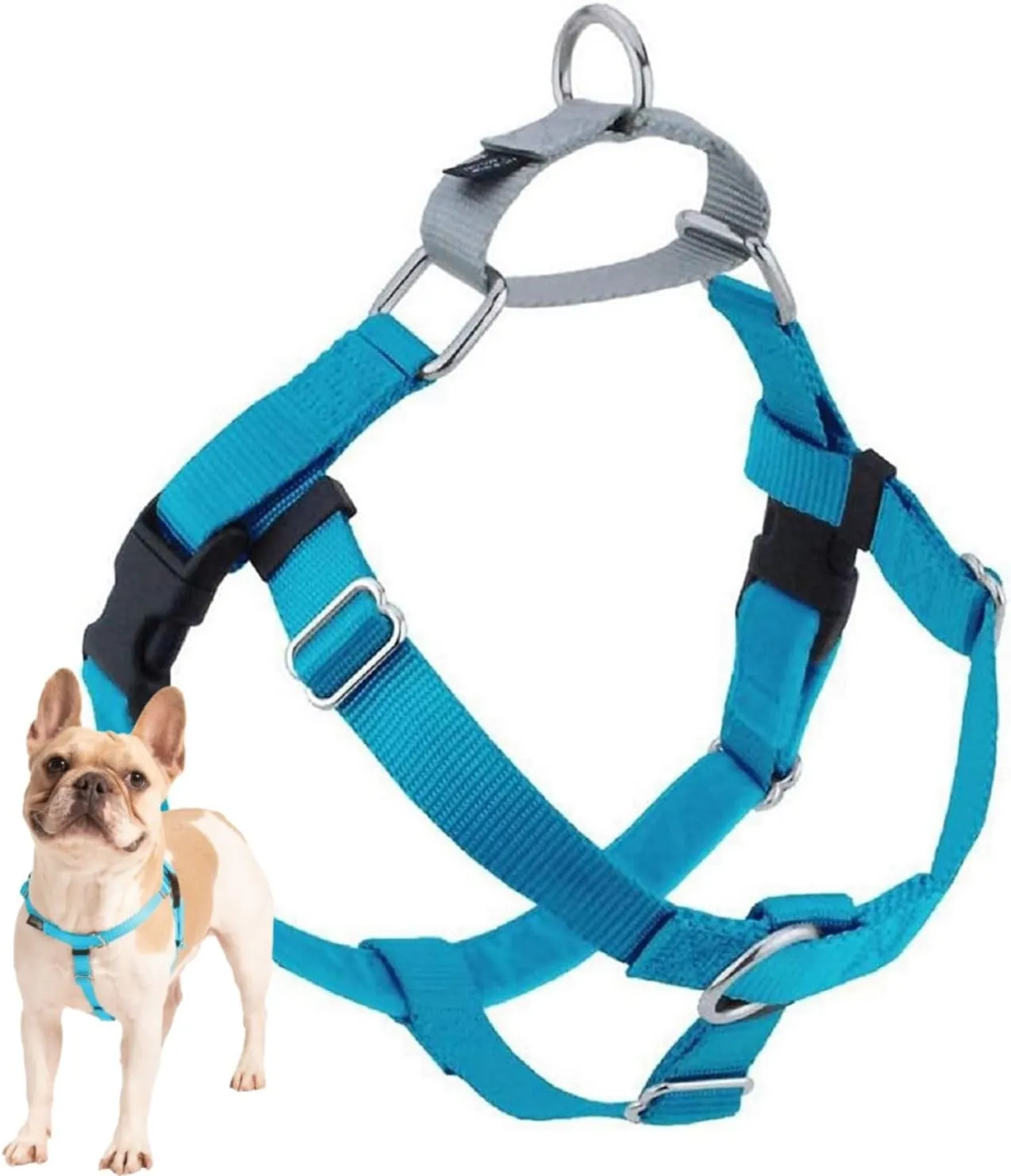 2 Hounds Design Freedom No Pull Dog Harness, Adjustable Harness, Easy Walking & Comfortable Control, Fits Small, Medium & Large Dogs, Solid Colors, Made in USA, 1" MD, Turquoise