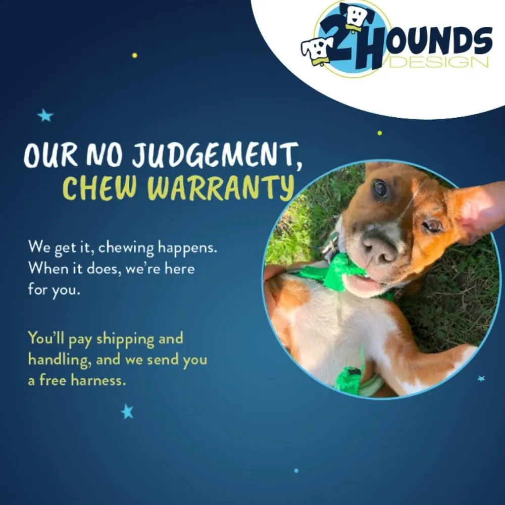 2 Hounds Design Freedom No Pull Dog Harness, Adjustable Harness, Easy Walking & Comfortable Control, Fits Small, Medium & Large Dogs, Solid Colors, Made in USA, 1" MD, Turquoise