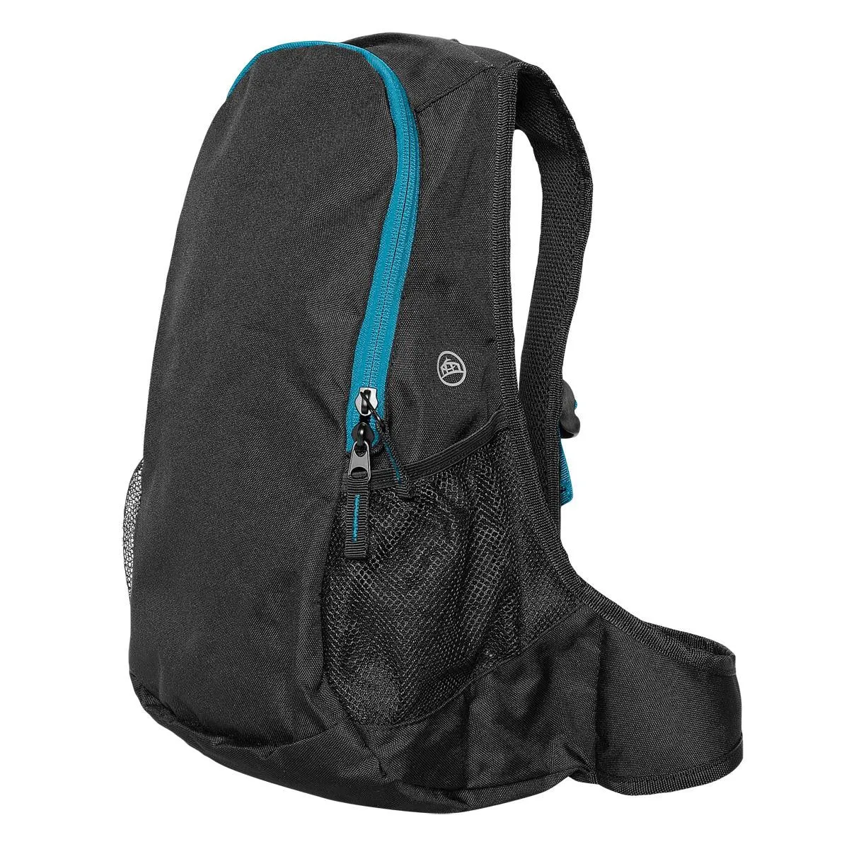 Beetle Day Pack