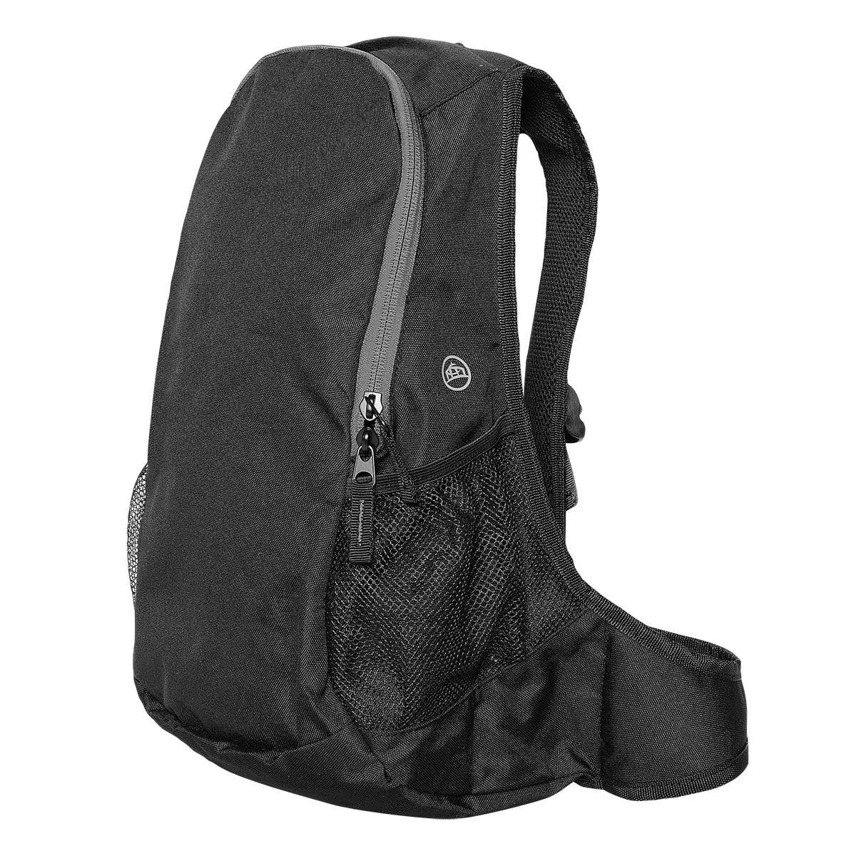 Beetle Day Pack