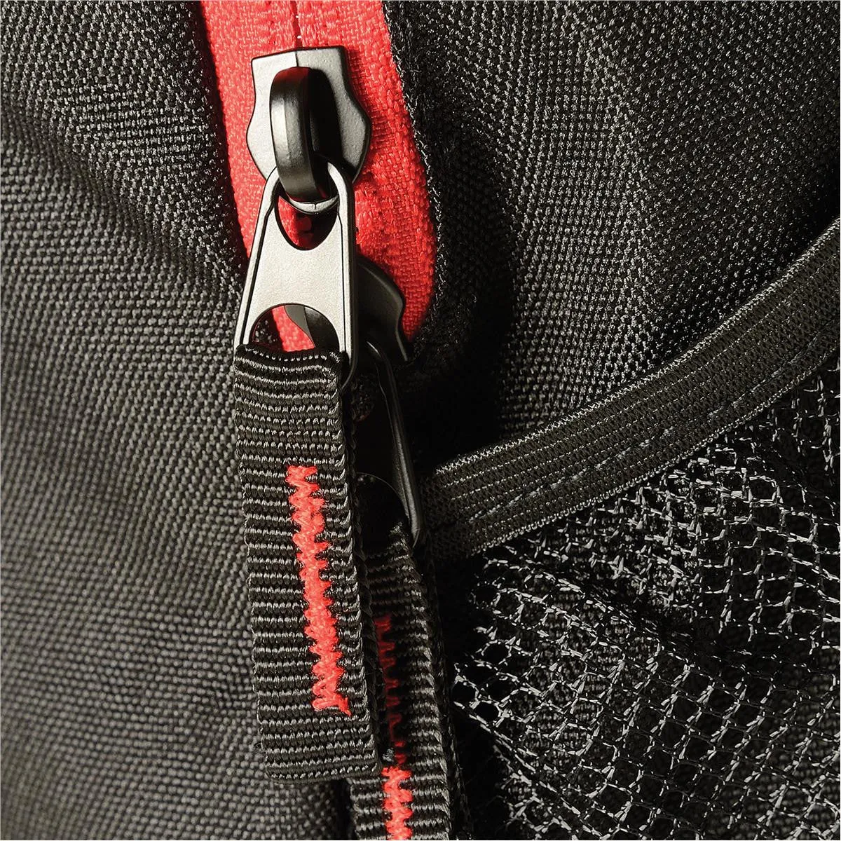 Beetle Day Pack