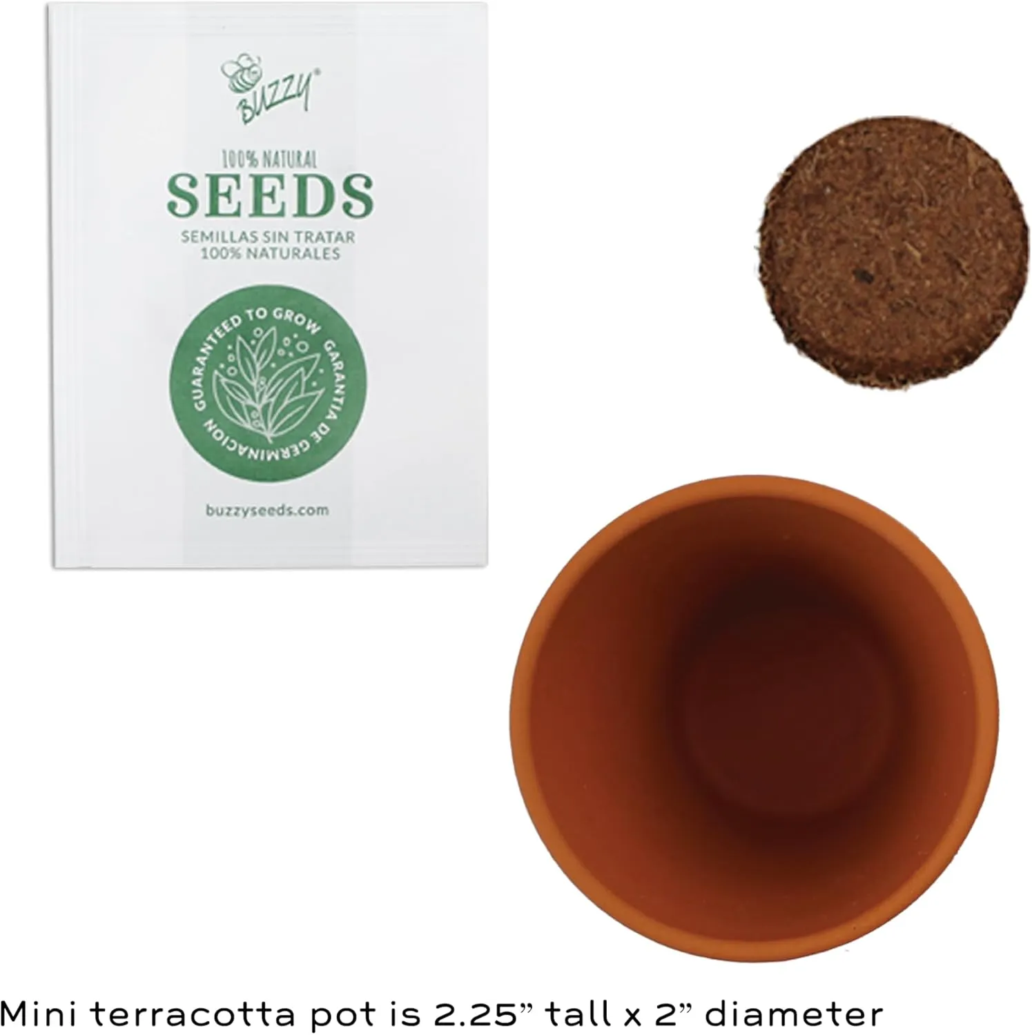 BUZZY Seeds Terracotta Mini Grow Pots | Herb, Plant, Flower Starter Kit for Kids & Adults | Alpine Strawberry 12-Pack, Classic Collection | Guaranteed to Grow | Best Indoor-Outdoor Gardening Gift