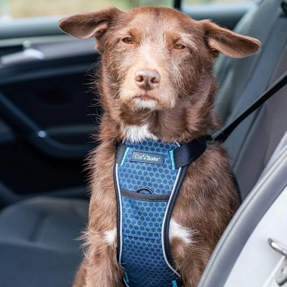 CarSafe Crash Tested Dog Safety Harness - Crash Tested to 32Kg/70lbs, Safely Secure Dog in The Car, Comfortable and Padded Design. for Toy, Small, Medium and Large Dogs (Size Small)