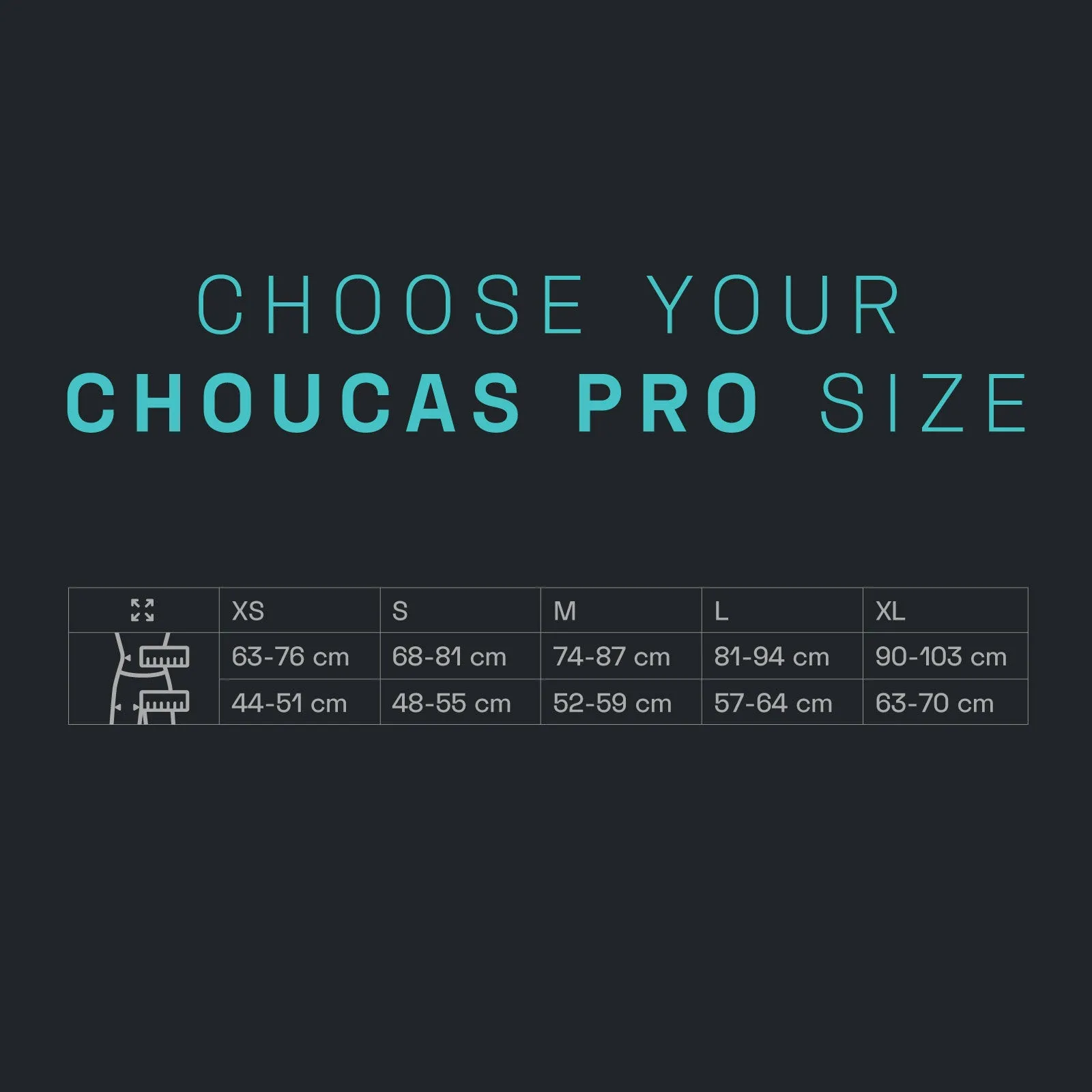Choucas Pro Harness (Past Season)