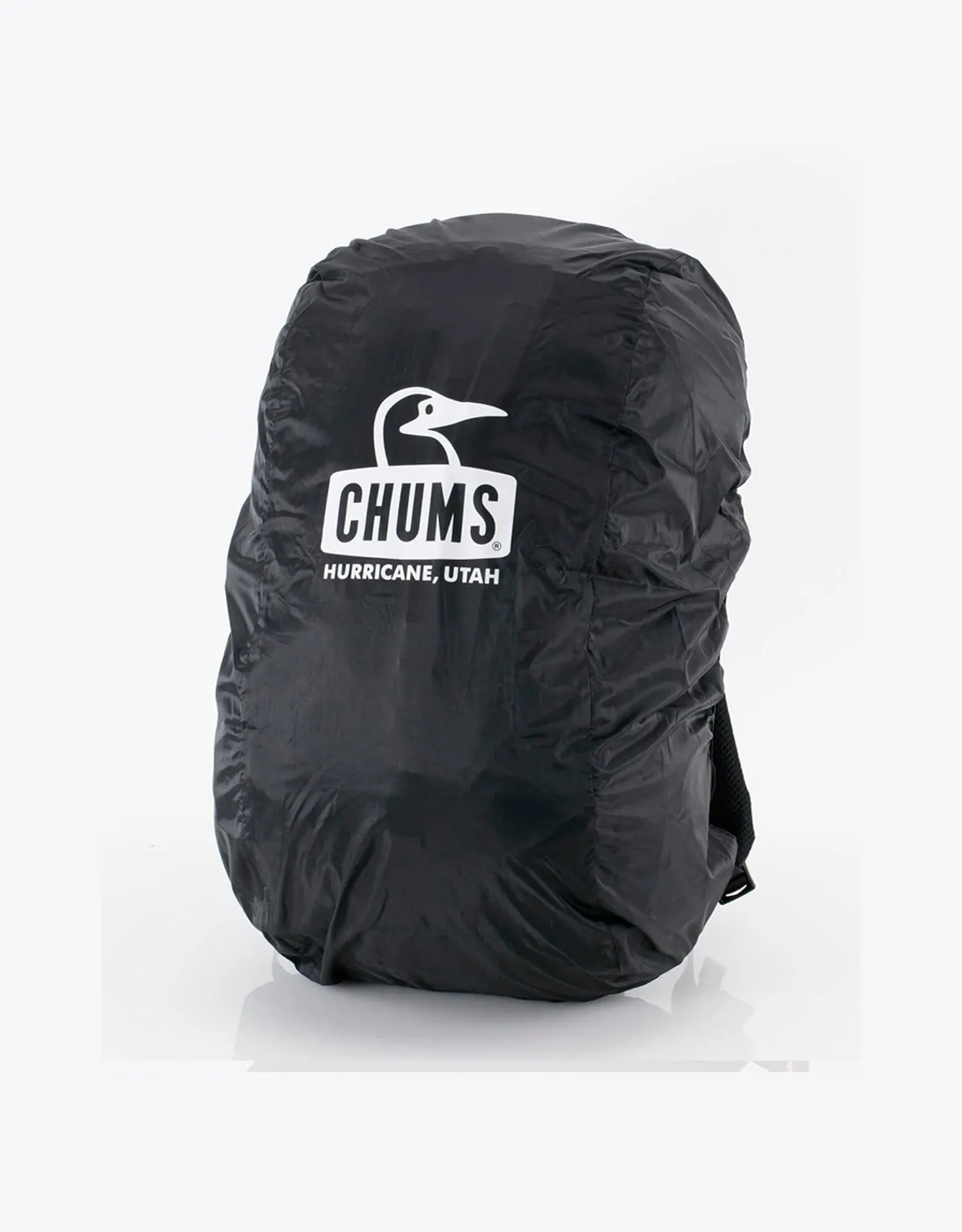 Chums Spring Dale 25