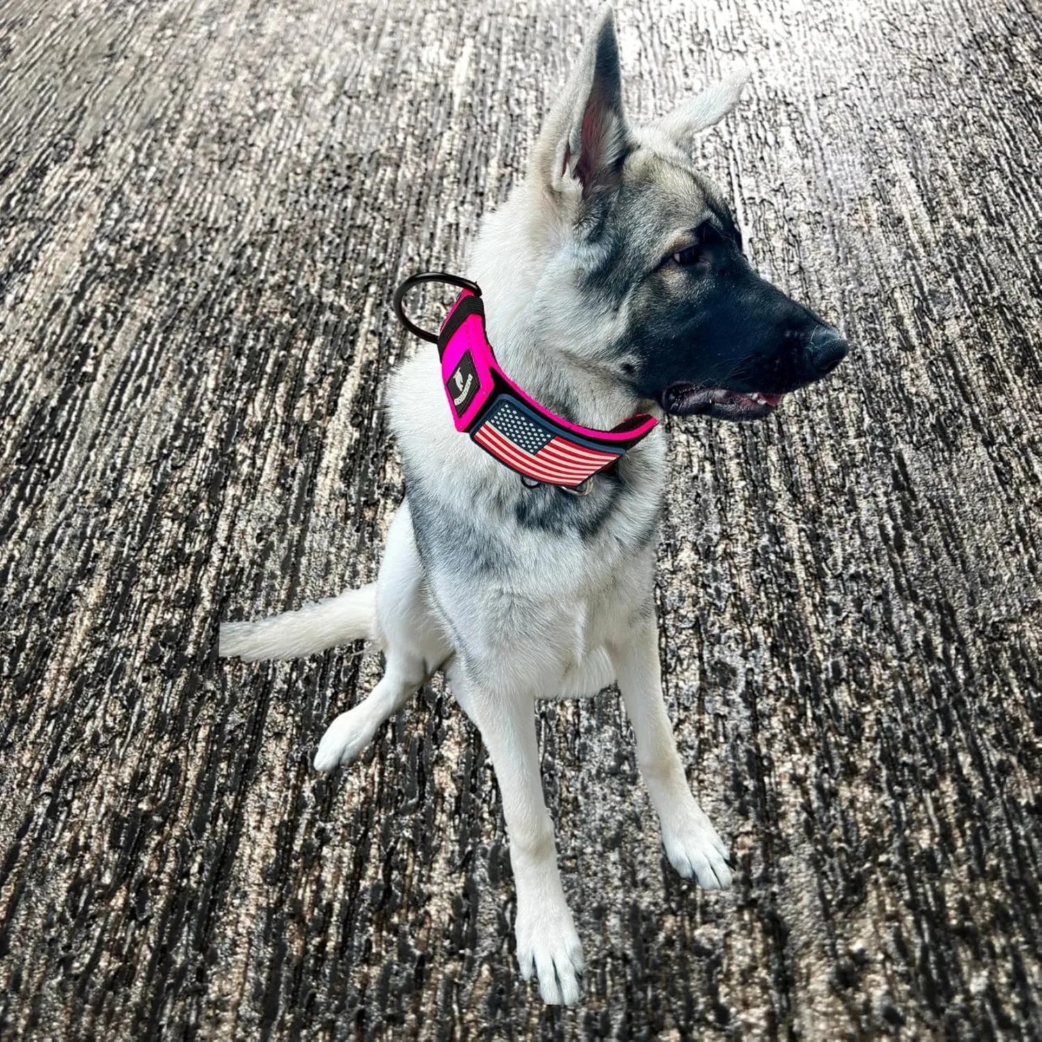 Dog Collars for Large Dogs - 2 inch Wide Dog Collar for Large Dogs Personalized Dog Collar with Metal Buckle American Flag Patch Name Plate Padded Dog Collar for Extra Large Dogs Male Female K9