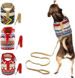 Dog Harness & Leash Set for Small Breeds (Large, Goa)