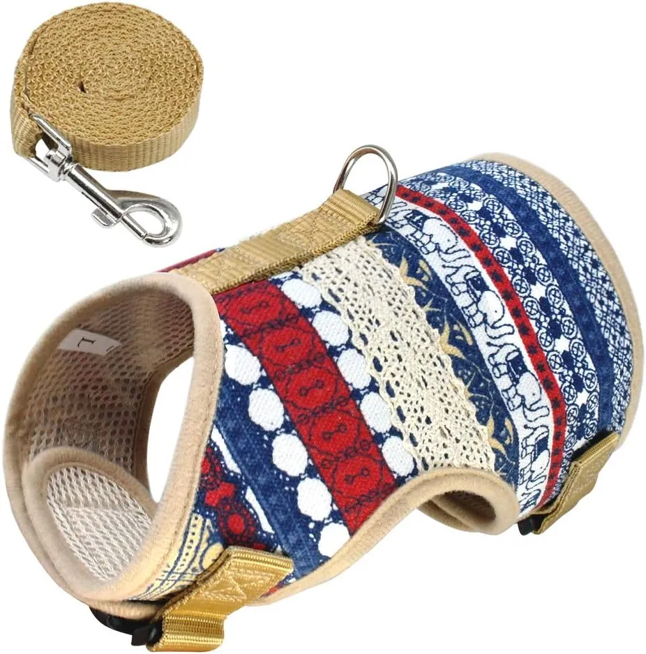 Dog Harness & Leash Set for Small Breeds (Large, Goa)