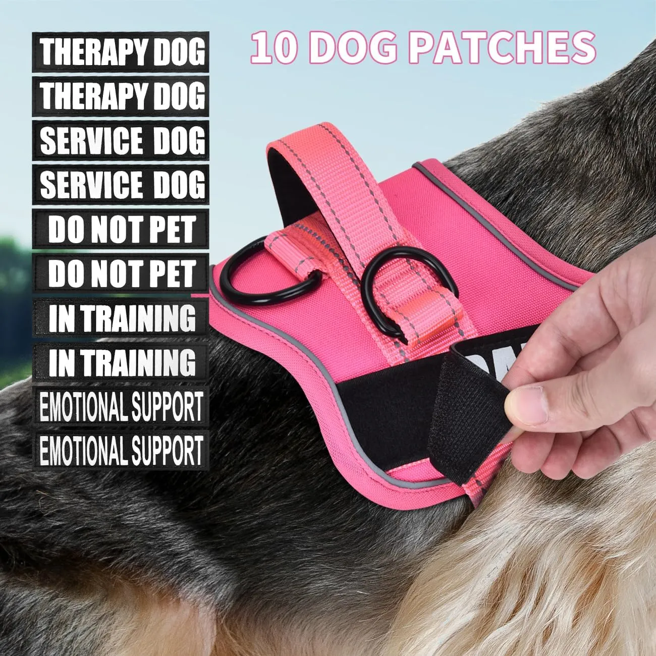 Dog Vest Harness and Leash Set, Animire Reflective Service Dog Vest with 10 Patches, 3 Rings No Choke Pet Vest for Leash Placement, in Training Dog Harness for Small Medium Large Dogs(Hot Pink,S)