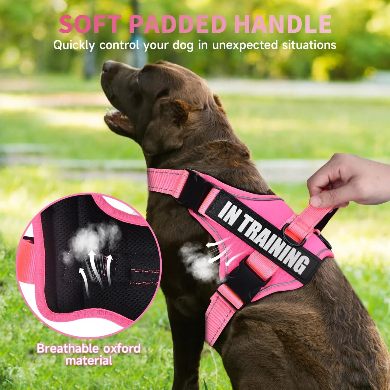Dog Vest Harness and Leash Set, Animire Reflective Service Dog Vest with 10 Patches, 3 Rings No Choke Pet Vest for Leash Placement, in Training Dog Harness for Small Medium Large Dogs(Hot Pink,S)