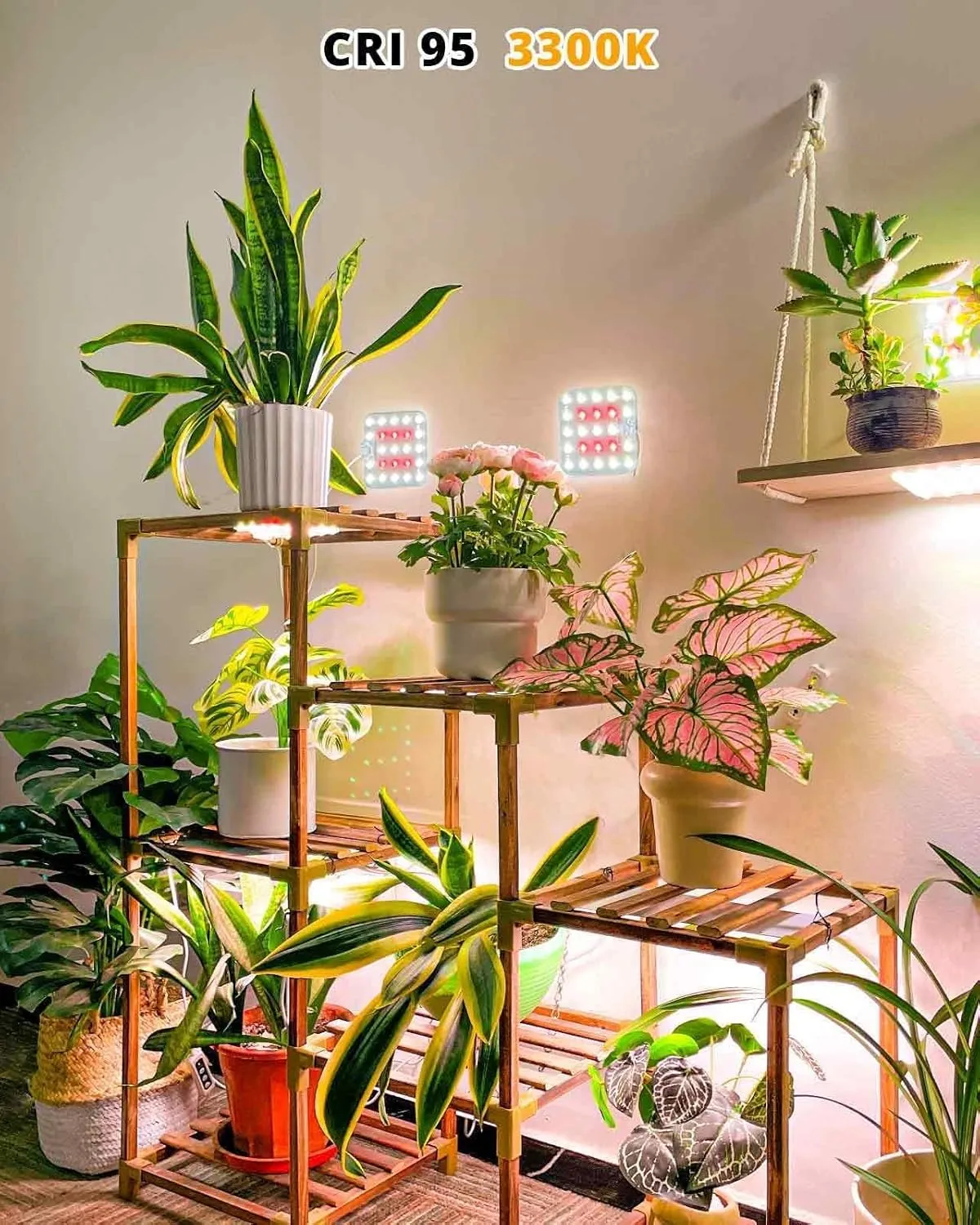 DOMMIA Grow Light, 3300K Warmwhite Dimmable Full Spectrum High PPFD with Optical Lens, Auto on/Off and 6/12/16H Timer, Suitable All for Indoor Growing