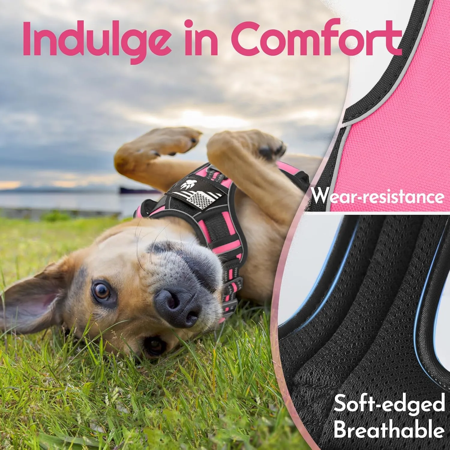 Eagloo Dog Harness Medium Sized, Easy Wearing with 3 Buckles, Adjustable No Pull Pet Harness with 2 Rings for Walking, No Chock Reflective Soft Padded Vest with Control Handle, Pink & Black, M