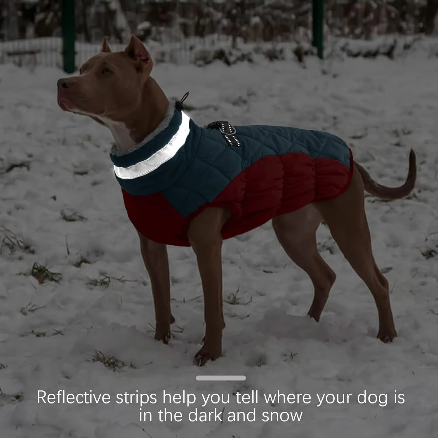FUAMEY Dog Winter Jacket - Cold Weather Padded Dog Vest with Harness. Water Resistant Coat, Dark Blue M