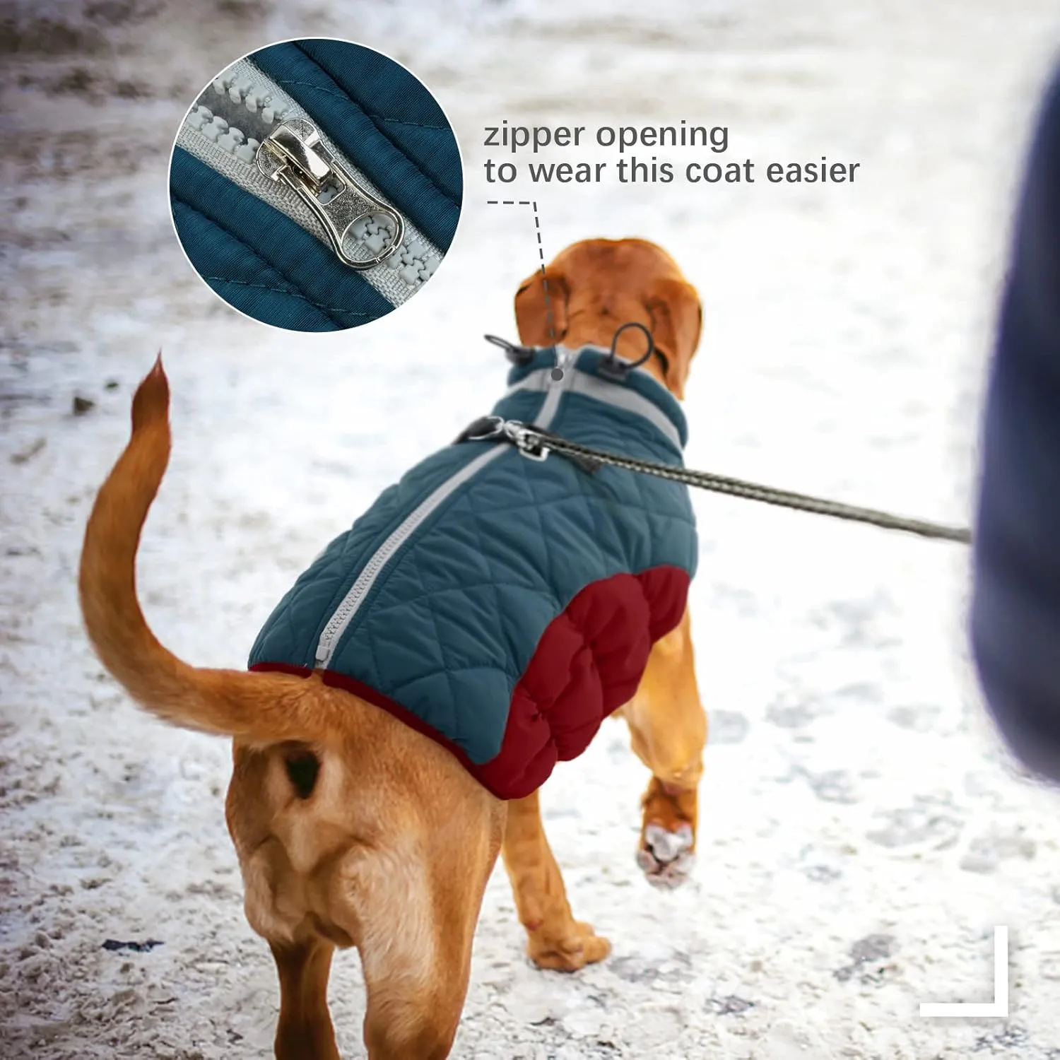FUAMEY Dog Winter Jacket - Cold Weather Padded Dog Vest with Harness. Water Resistant Coat, Dark Blue M