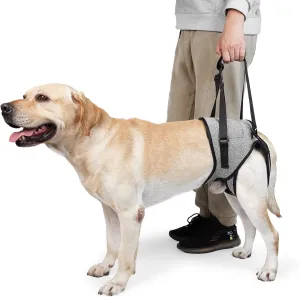GabeFish Dog Leg Support for Back Legs, Adjustable Lift Harness for Dog, Breathable Dog Sling for Rear Legs Grey X-Large
