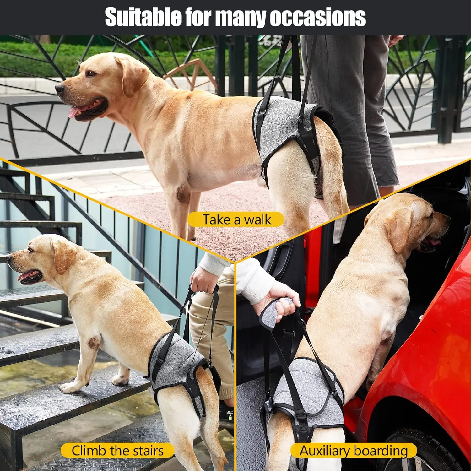 GabeFish Dog Leg Support for Back Legs, Adjustable Lift Harness for Dog, Breathable Dog Sling for Rear Legs Grey X-Large