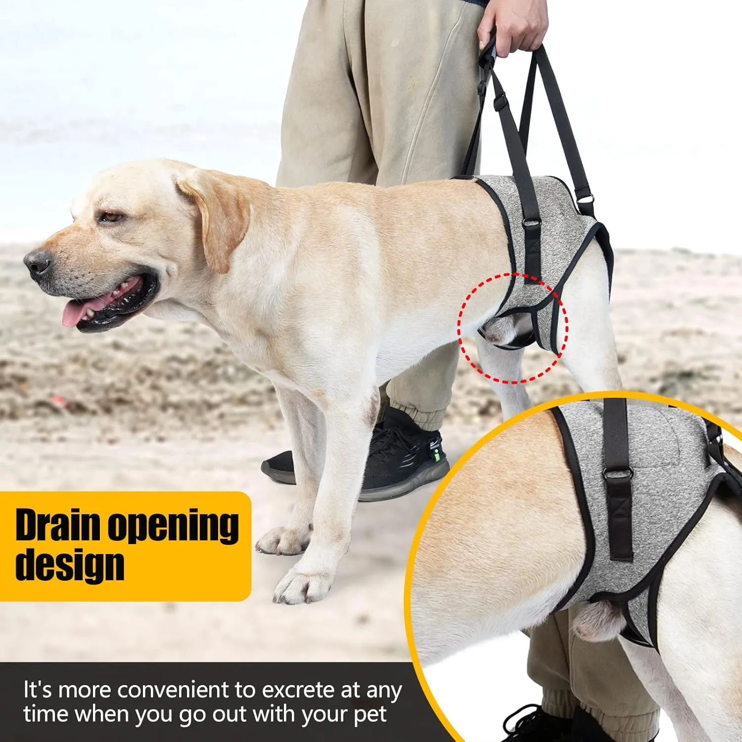 GabeFish Dog Leg Support for Back Legs, Adjustable Lift Harness for Dog, Breathable Dog Sling for Rear Legs Grey X-Large