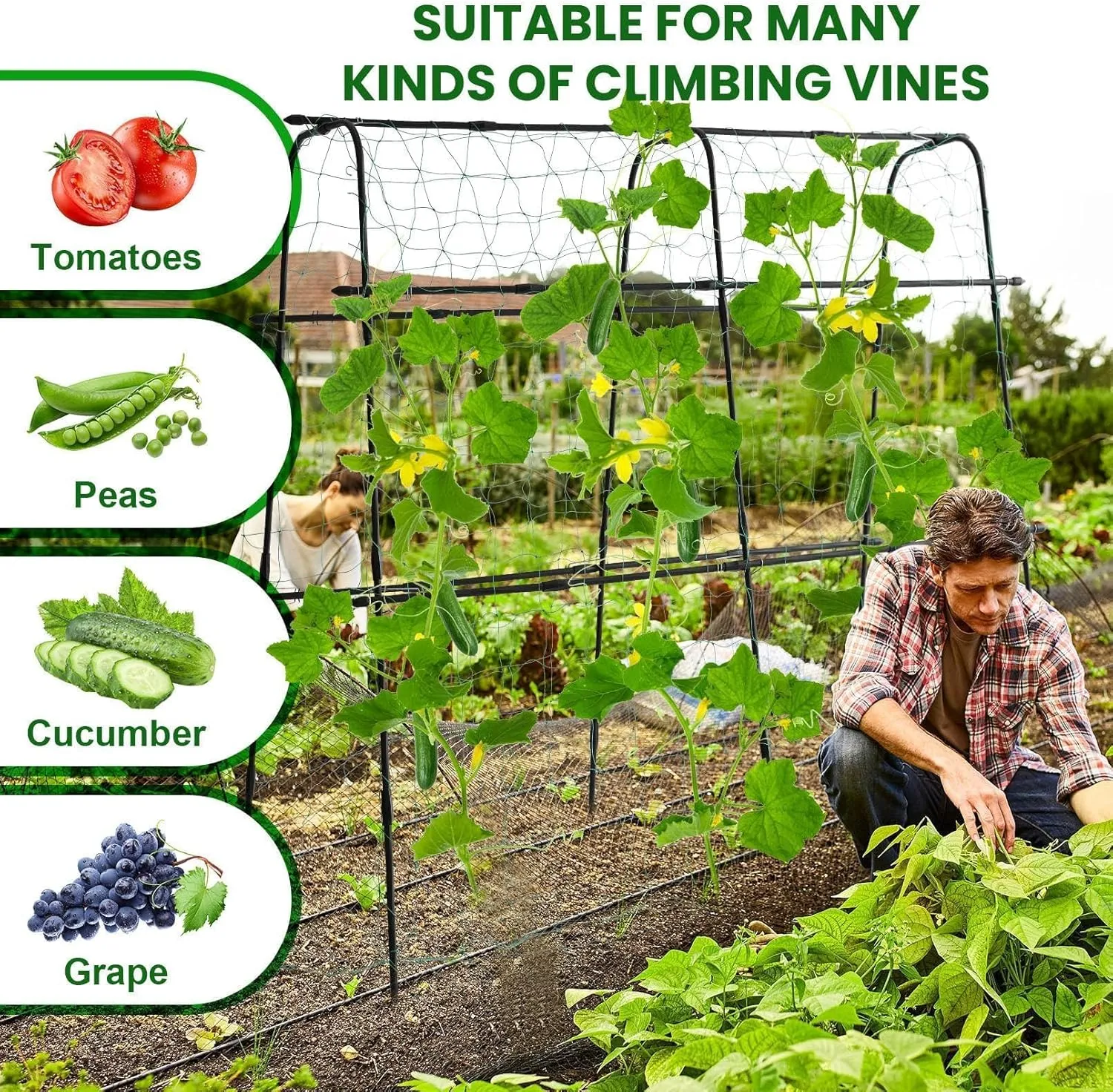 Garden Trellis for Climbing Plants Outdoor, 5.3x5.3ft Cucumber Trellis for Raised Bed, PE-Coated Metal Garden Trellis Climbing Vine Plant Support Vegetables Peas Beans, with Netting, Black