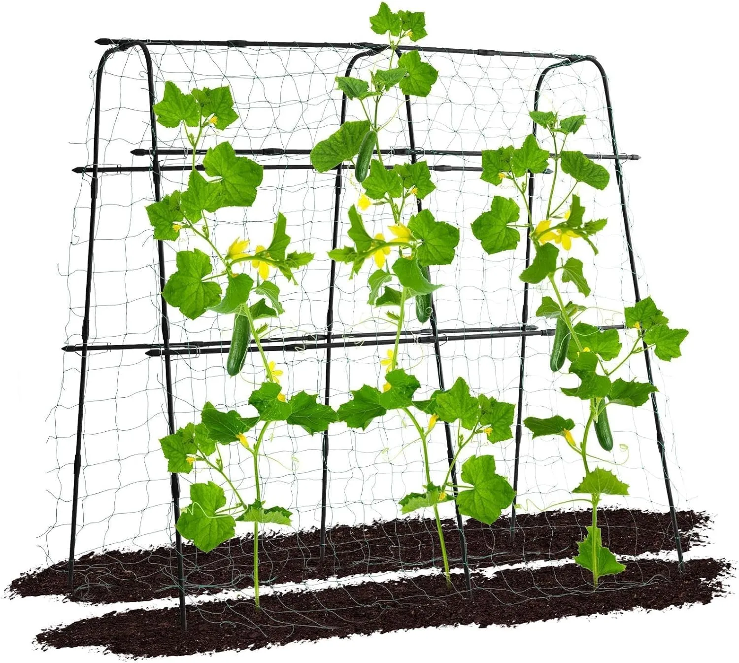 Garden Trellis for Climbing Plants Outdoor, 5.3x5.3ft Cucumber Trellis for Raised Bed, PE-Coated Metal Garden Trellis Climbing Vine Plant Support Vegetables Peas Beans, with Netting, Black