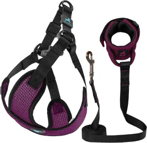 Gooby Comfort X Step-In Lite Harness & Mesh Wristband Surfer Leash Set - Purple, X-Small, 6 FT - Choke & Escape Free Harness with Breathable Mesh & Handsfree Leash for Small & Medium Dogs