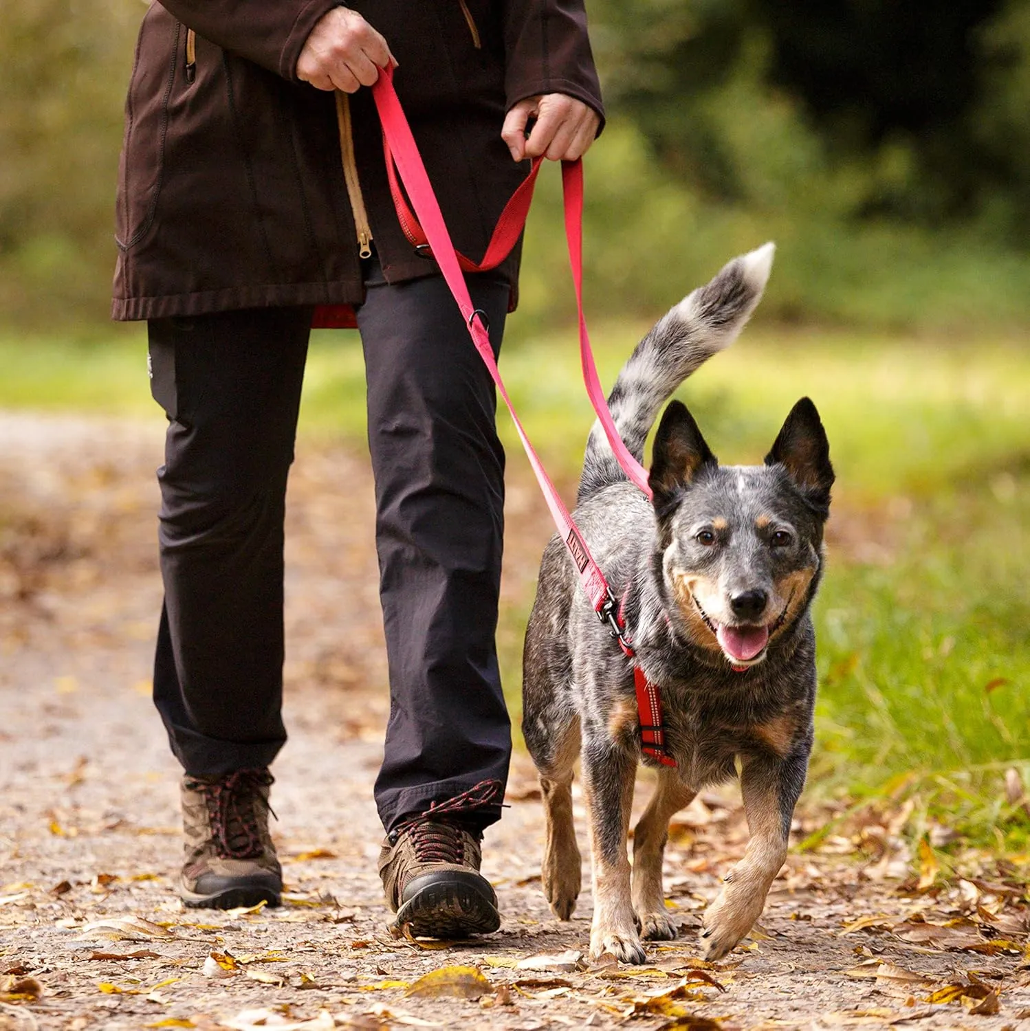 HALTI Double-Ended Leash for Dogs - Neoprene-Padded, Easy to Use, Reflective, Adjustable Lengths, Ideal Dog Leash for Hands Free Running & Training. Suitable for Medium and Large Dogs (Size L, Red)