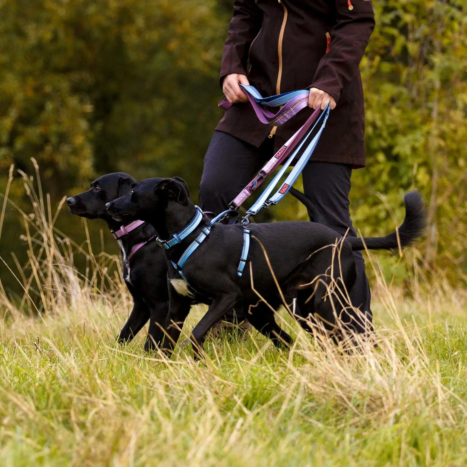 HALTI Double-Ended Leash for Dogs - Neoprene-Padded, Easy to Use, Reflective, Adjustable Lengths, Ideal Dog Leash for Hands Free Running & Training. Suitable for Medium and Large Dogs (Size L, Red)