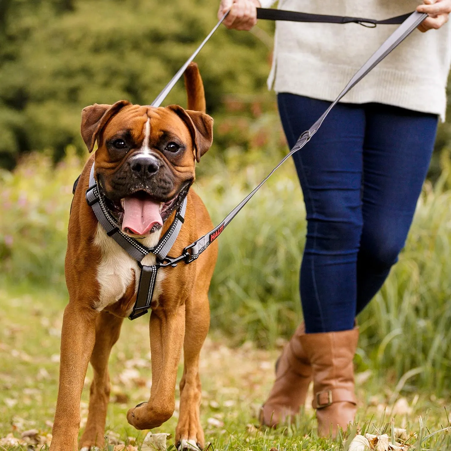 HALTI Double-Ended Leash for Dogs - Neoprene-Padded, Easy to Use, Reflective, Adjustable Lengths, Ideal Dog Leash for Hands Free Running & Training. Suitable for Medium and Large Dogs (Size L, Red)