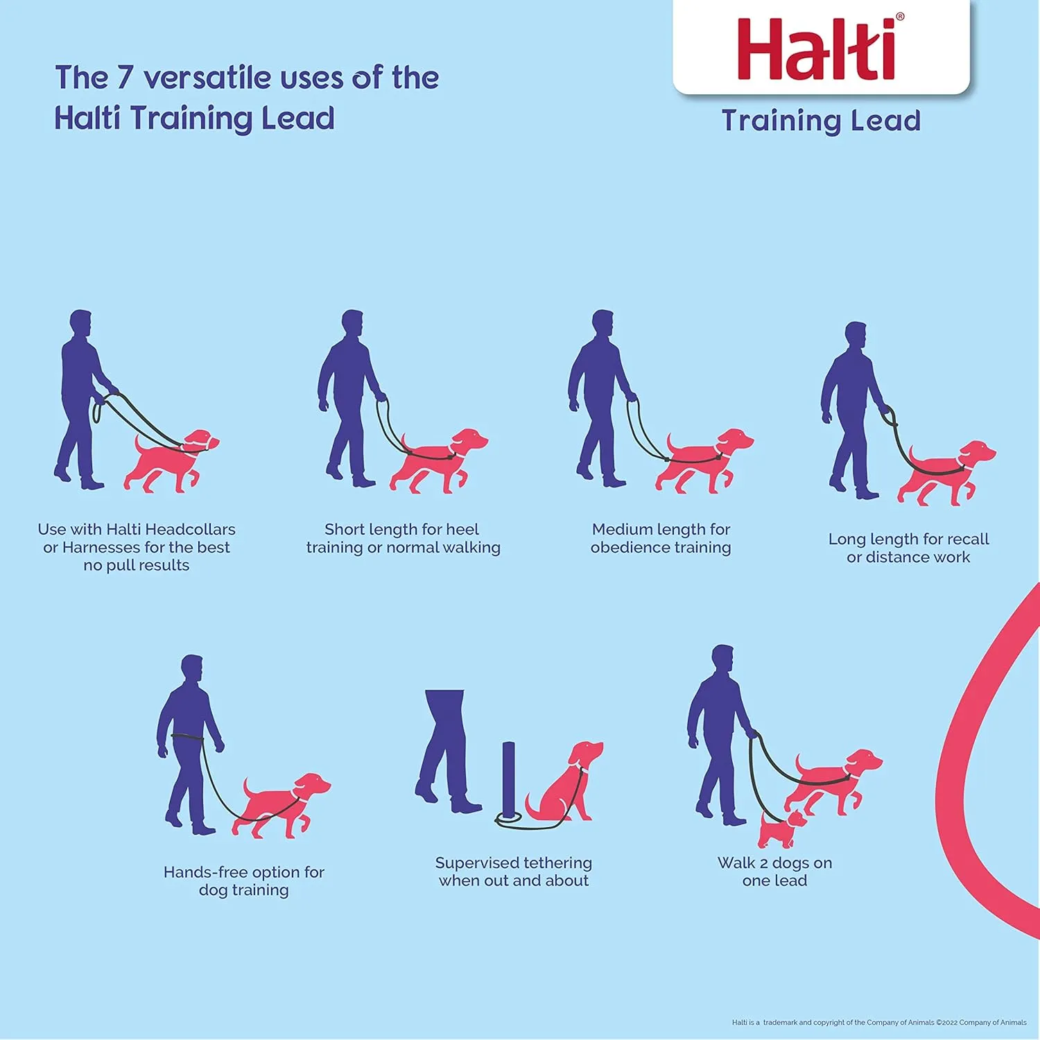 HALTI Training Leash - Multifunctional Double-Ended Dog Leash, Ideal for Anti-Pulling Dog Training. Easy to Use, Lightweight, Soft & Durable. Suitable for Puppies and Small Dogs (Size Small, Black)