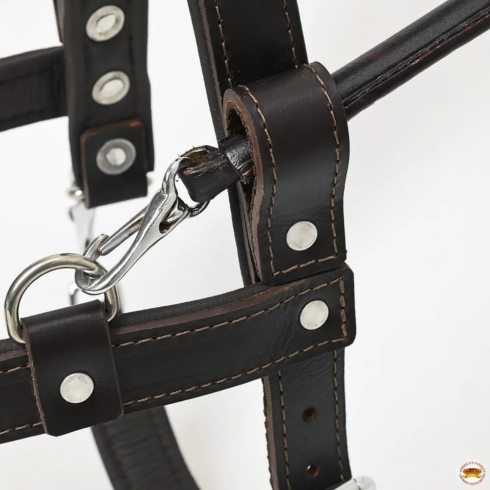 HILASON Guide Dog Harness Brown Padded Genuine Leather with Handle Brown | Dog Harness with Adjustable Straps | Dog Harness with Handle for Training | Breathable Dog Harness | Therapy Dog Harness