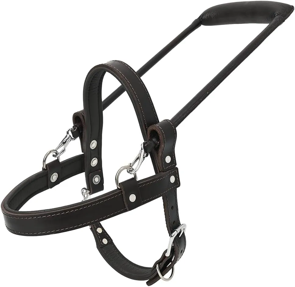 HILASON Guide Dog Harness Brown Padded Genuine Leather with Handle Brown | Dog Harness with Adjustable Straps | Dog Harness with Handle for Training | Breathable Dog Harness | Therapy Dog Harness