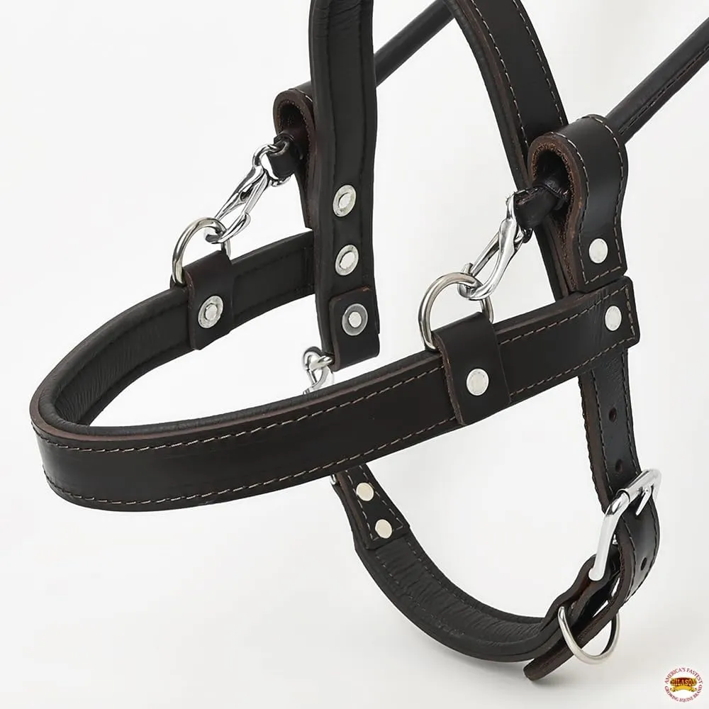 HILASON Guide Dog Harness Brown Padded Genuine Leather with Handle Brown | Dog Harness with Adjustable Straps | Dog Harness with Handle for Training | Breathable Dog Harness | Therapy Dog Harness