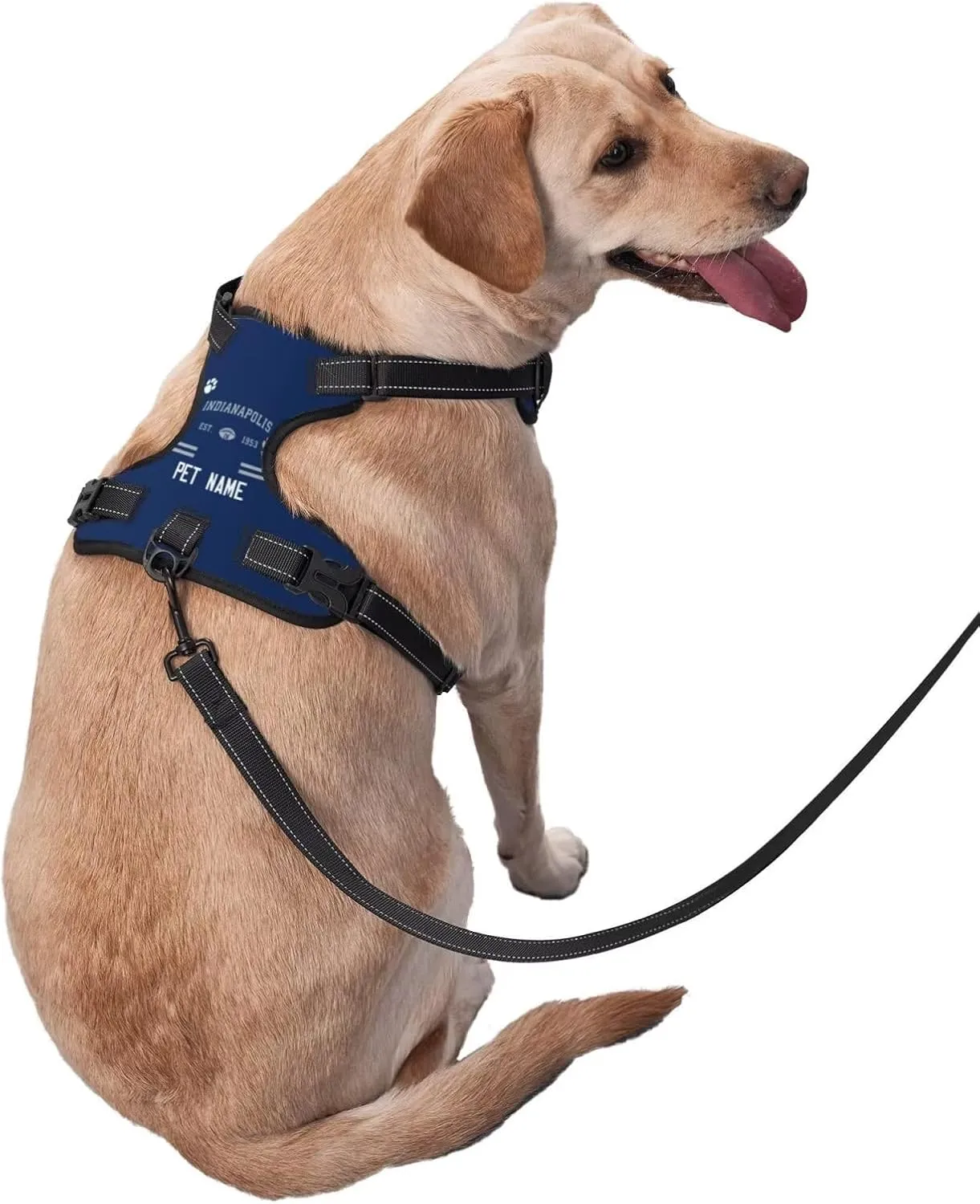 Indianapolis Dog Harness,Customize Adding A Puppy Name Dog Strap, Soft Padded Dog Vest Harness with Reflective Stripes,Suitable for Most Dogs(Including Pet Traction Rope)