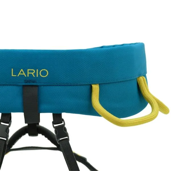 LARIO 1