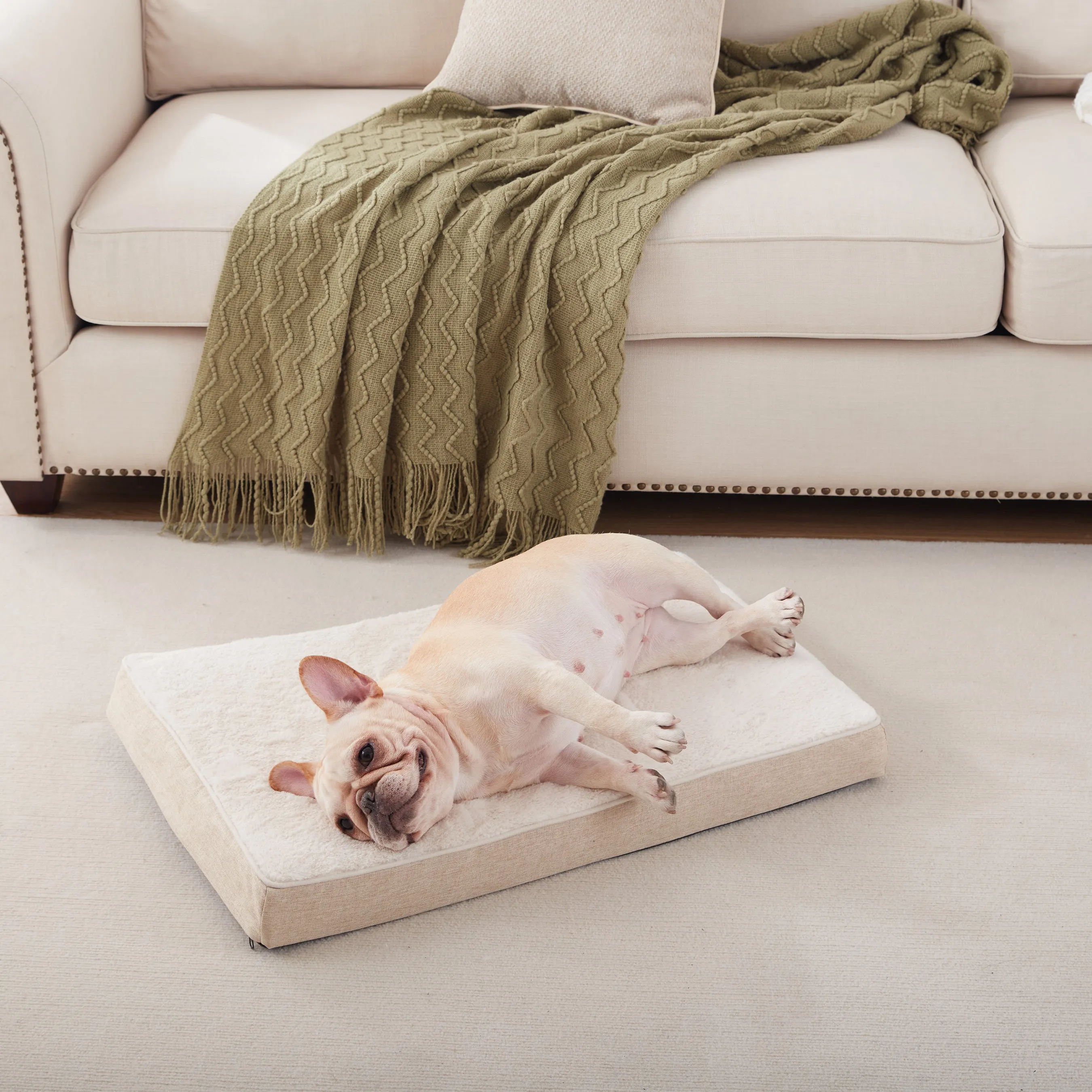 LFC PETS Plush Memory Foam Orthopedic Dog Beds for Medium to Extra Large Jumbo Dogs, Pet Crate Bed Mat with Cooling Gel Sponge, Removable Washable Cover & Waterproof Lining, M/L/XLL