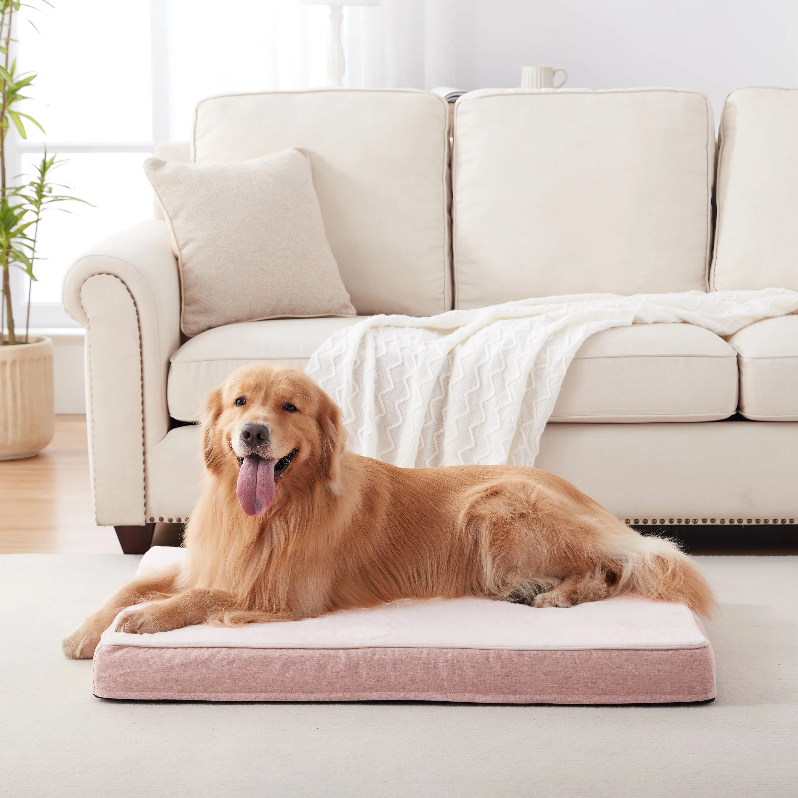 LFC PETS Plush Memory Foam Orthopedic Dog Beds for Medium to Extra Large Jumbo Dogs, Pet Crate Bed Mat with Cooling Gel Sponge, Removable Washable Cover & Waterproof Lining, M/L/XLL