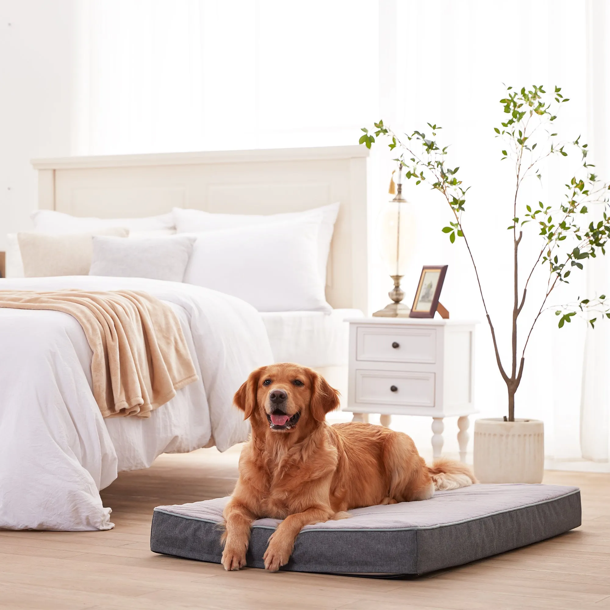 LFC PETS Plush Memory Foam Orthopedic Dog Beds for Medium to Extra Large Jumbo Dogs, Pet Crate Bed Mat with Cooling Gel Sponge, Removable Washable Cover & Waterproof Lining, M/L/XLL