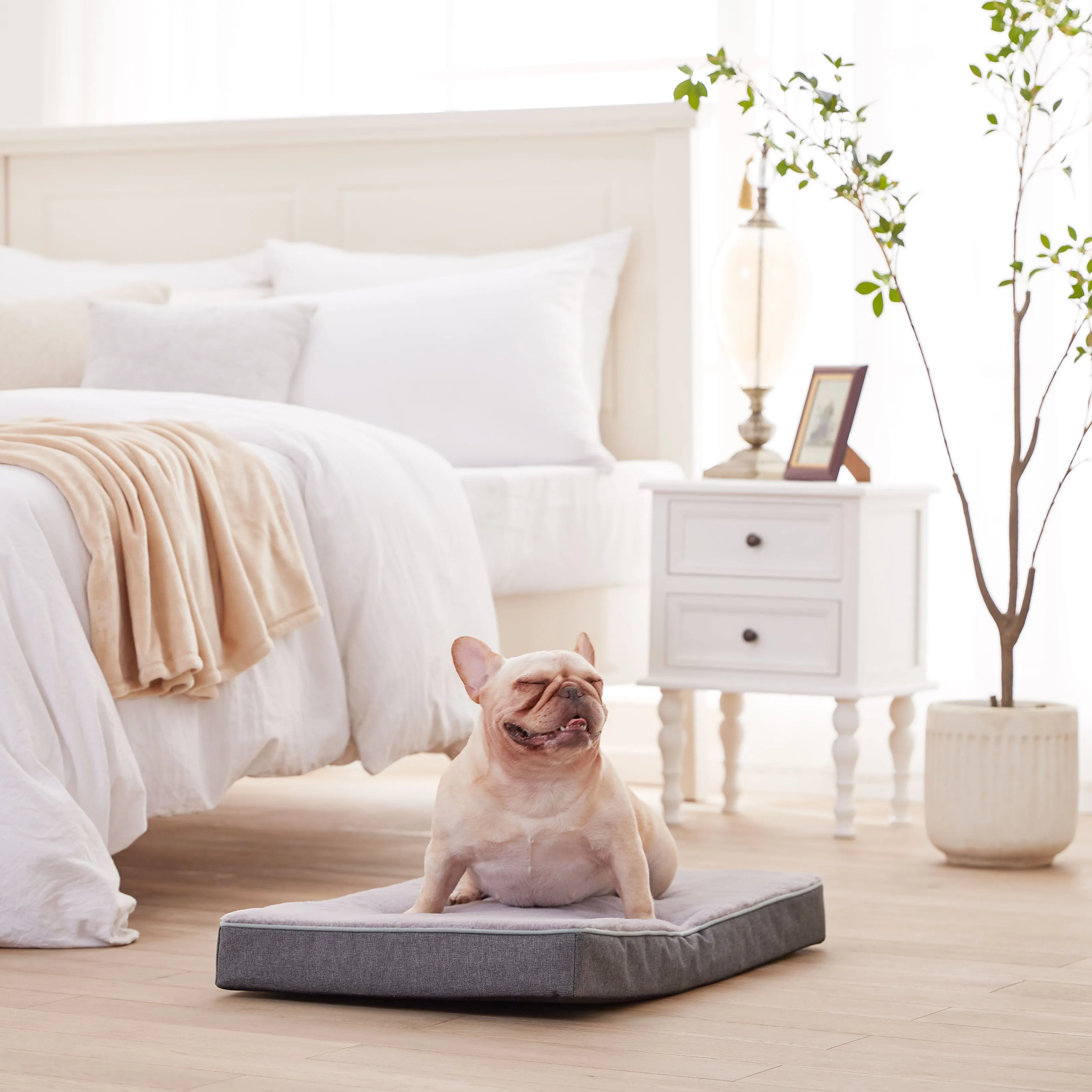 LFC PETS Plush Memory Foam Orthopedic Dog Beds for Medium to Extra Large Jumbo Dogs, Pet Crate Bed Mat with Cooling Gel Sponge, Removable Washable Cover & Waterproof Lining, M/L/XLL
