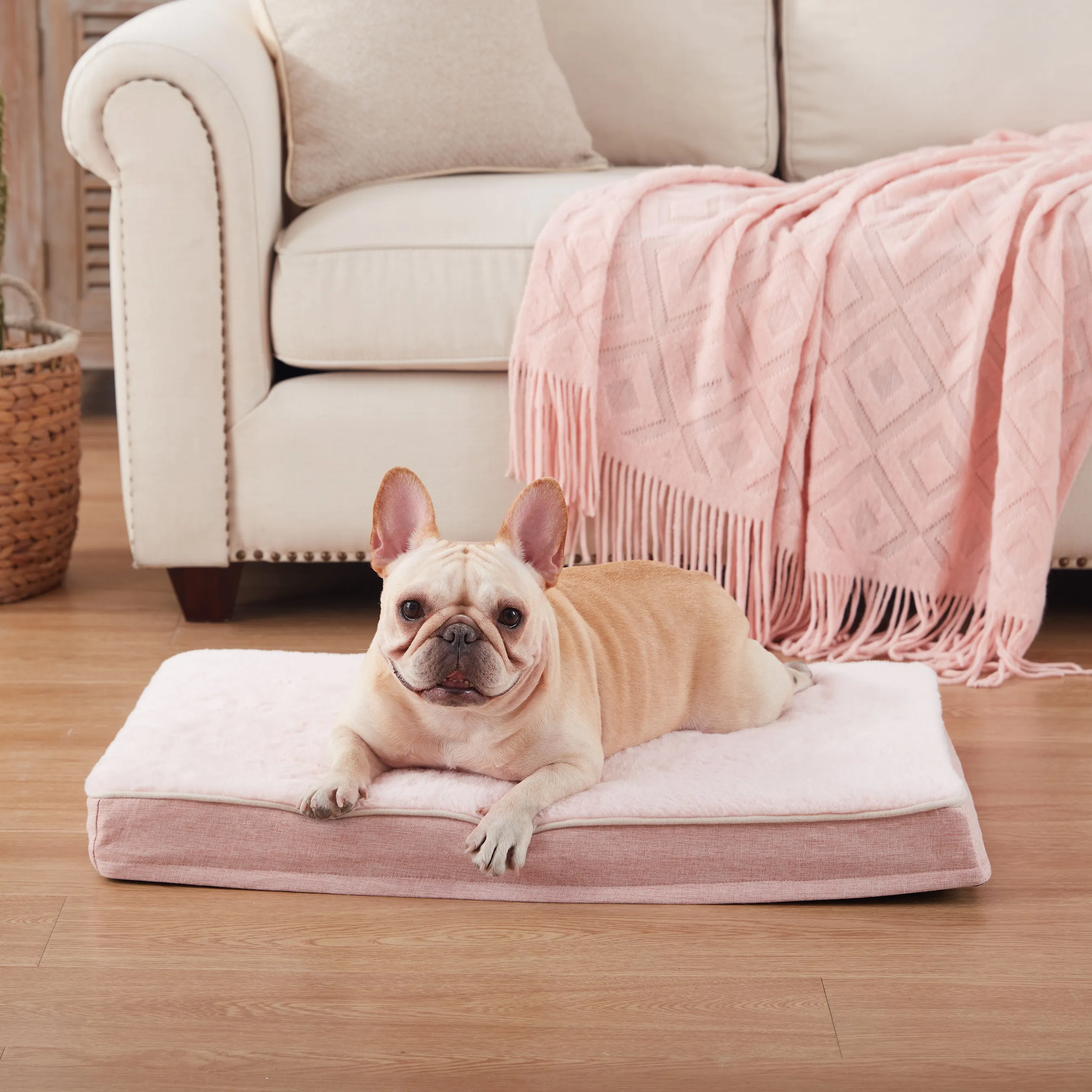 LFC PETS Plush Memory Foam Orthopedic Dog Beds for Medium to Extra Large Jumbo Dogs, Pet Crate Bed Mat with Cooling Gel Sponge, Removable Washable Cover & Waterproof Lining, M/L/XLL