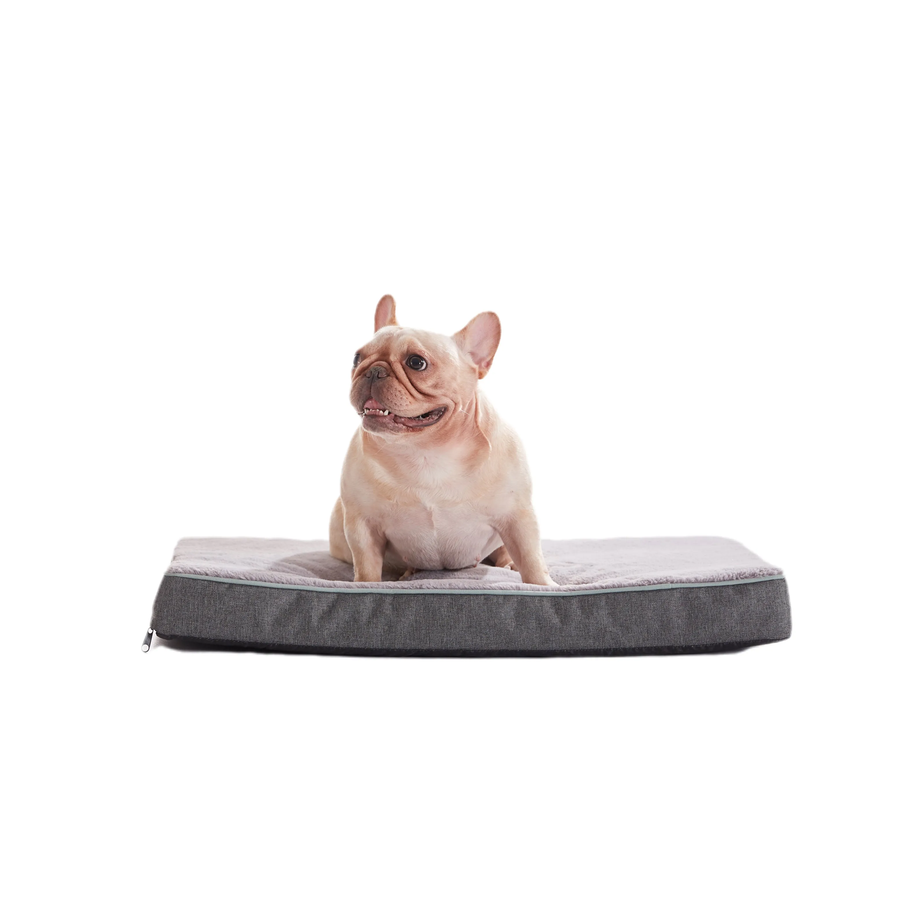 LFC PETS Plush Memory Foam Orthopedic Dog Beds for Medium to Extra Large Jumbo Dogs, Pet Crate Bed Mat with Cooling Gel Sponge, Removable Washable Cover & Waterproof Lining, M/L/XLL