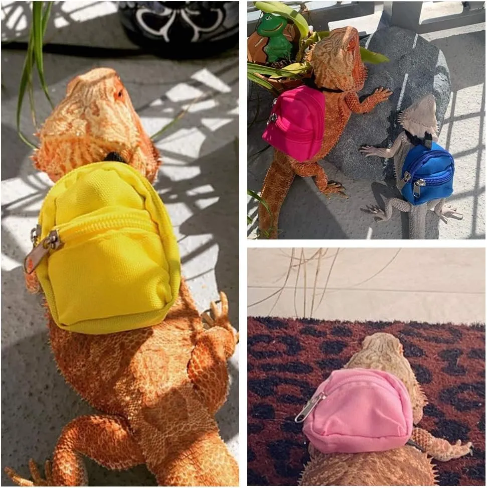 Lizard backpack for Bearded Dragons School Bag & Books Set Reptile Apparel Accessories Handmade Photo Party Back to School Supplies for Lizard Bearded Dragon Crested Gecko Chameleon (Purple)