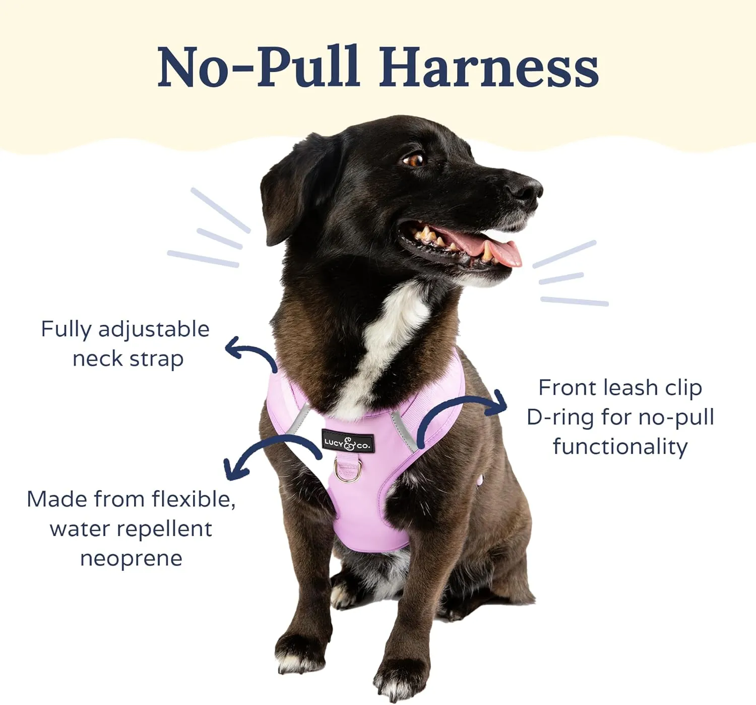 Lucy & Co. The Bouquet No-Pull Dog Harness – Size Large – Vest to Stop Pulling & Walk Easy – Comfortable Leash Training Product w/Adjustable Chest & Neck Straps