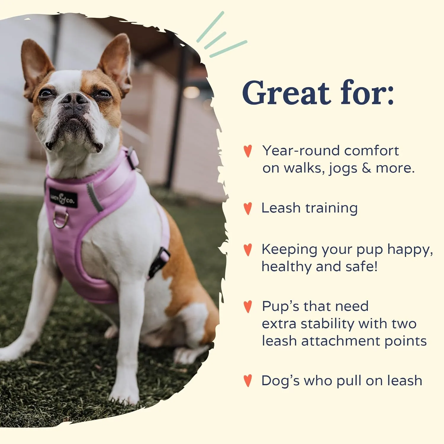 Lucy & Co. The Bouquet No-Pull Dog Harness – Size Large – Vest to Stop Pulling & Walk Easy – Comfortable Leash Training Product w/Adjustable Chest & Neck Straps