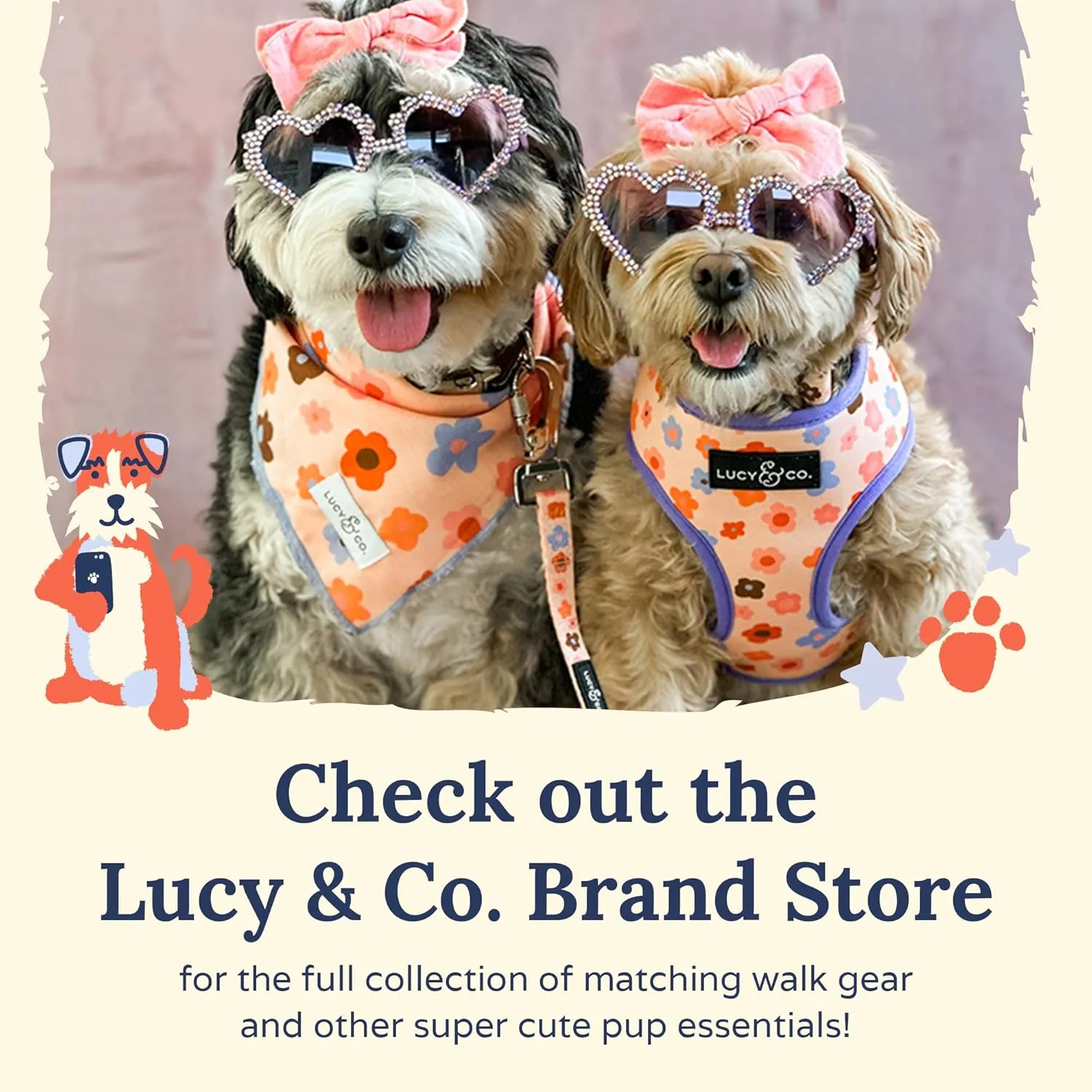 Lucy & Co. The Bouquet No-Pull Dog Harness – Size Large – Vest to Stop Pulling & Walk Easy – Comfortable Leash Training Product w/Adjustable Chest & Neck Straps