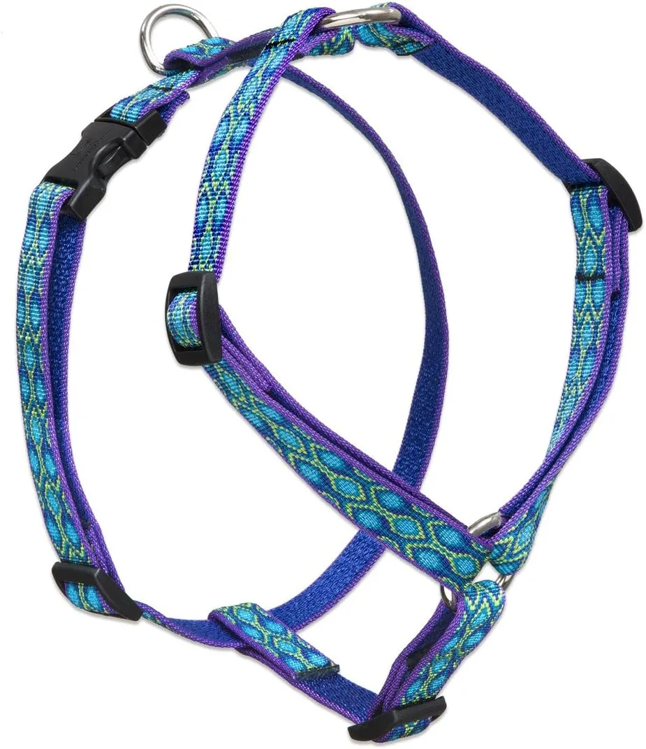 LupinePet Originals 3/4" Rain Song 14-24" Adjustable Roman Dog Harness for Medium Dogs