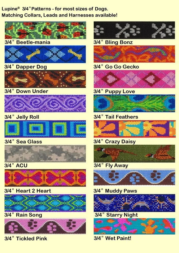 LupinePet Originals 3/4" Rain Song 14-24" Adjustable Roman Dog Harness for Medium Dogs