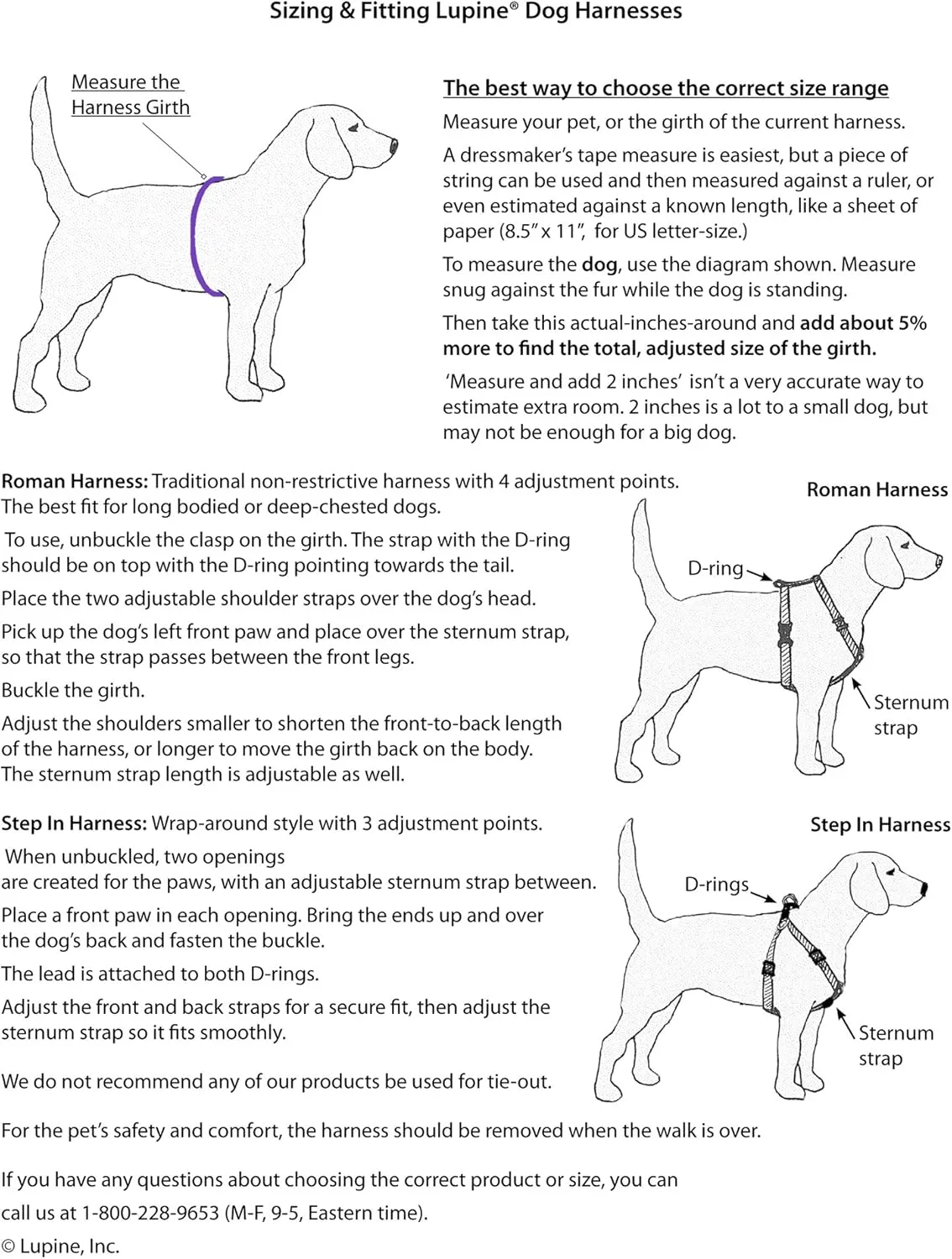 LupinePet Originals 3/4" Rain Song 14-24" Adjustable Roman Dog Harness for Medium Dogs