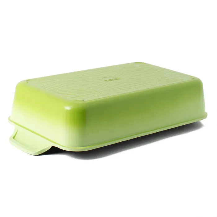 Neoflam Venn Roaster Medium 43cm x 23cm x 9.7cm Green