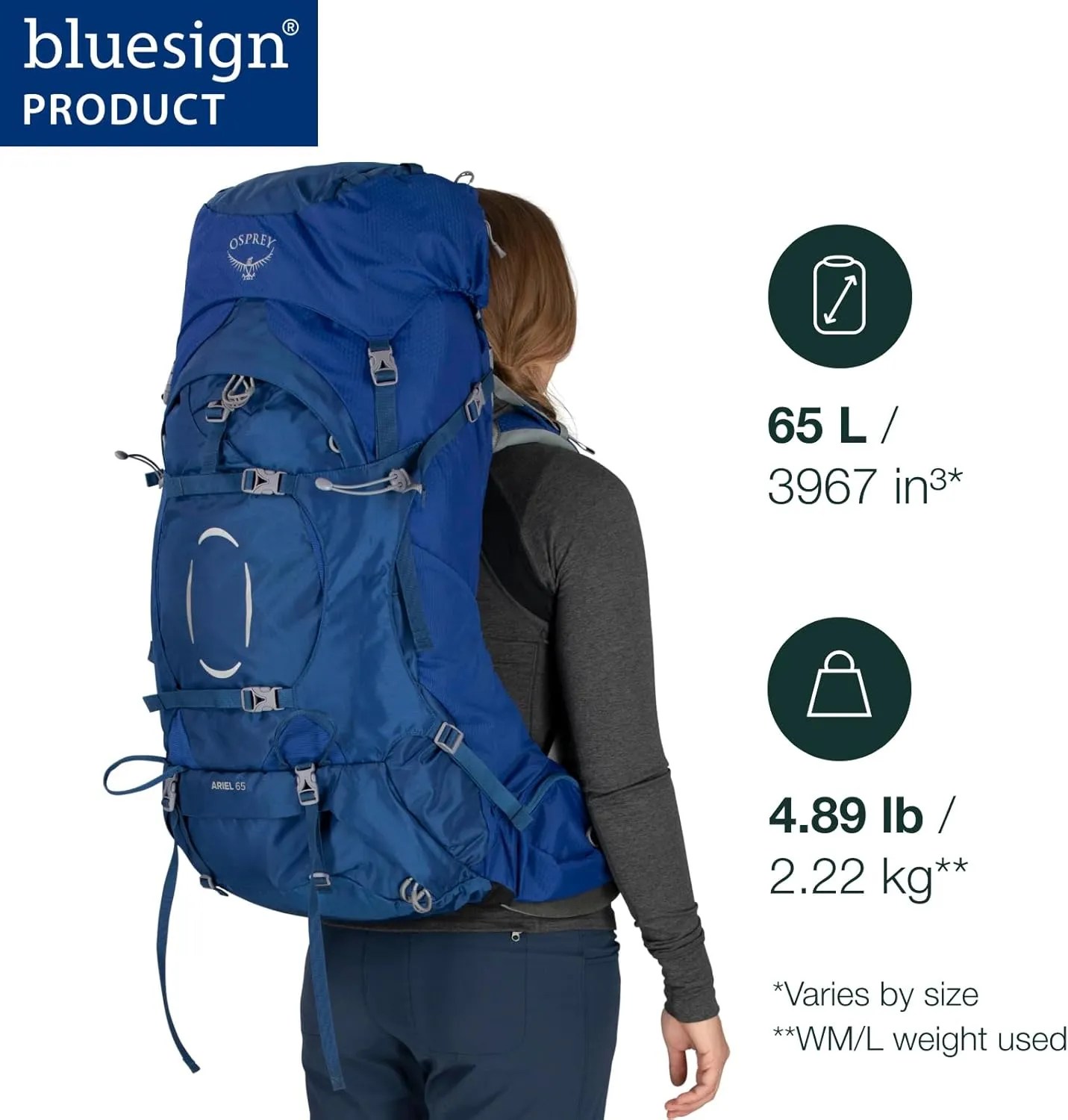 Osprey Ariel 65L Women's Backpacking Backpack, Koseret Green, WM/L