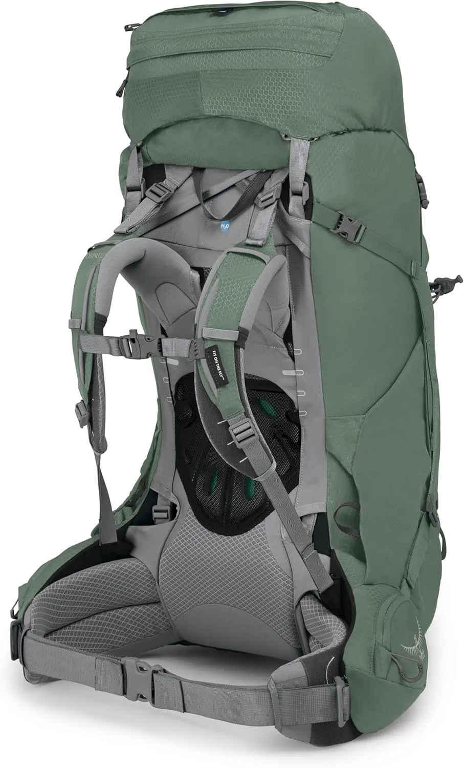 Osprey Ariel 65L Women's Backpacking Backpack, Koseret Green, WM/L